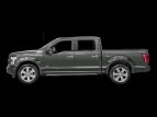 Thumbnail Photo 59 for 2017 Ford F150